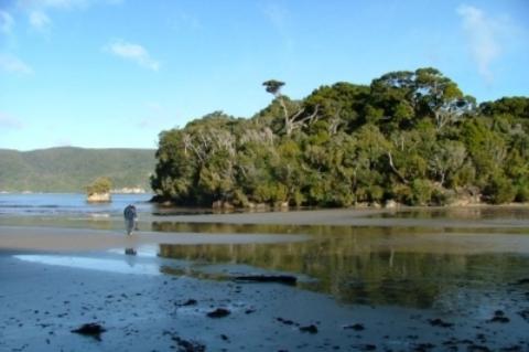 South Sea Hotel - Stewart Island Half-moon Bay Bagian luar foto