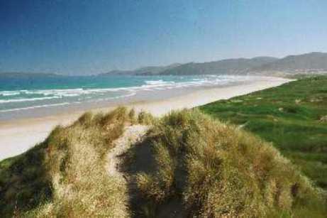 South Sea Hotel - Stewart Island Half-moon Bay Bagian luar foto